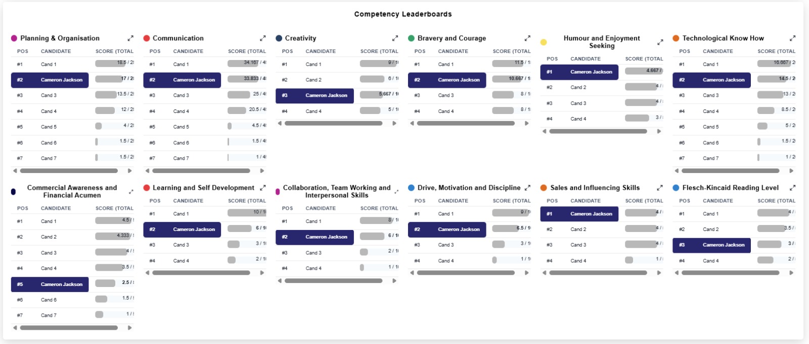 Phoenix51 candidate assessment interface
